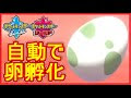√100以上 ポケモン たまご 条件 216562-ポケモン たまご 条件 ダイパ