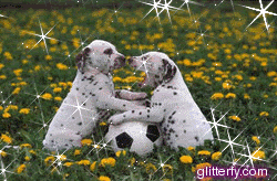 Glitter Graphics