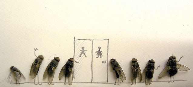 Dead Flies Art (15 pics)