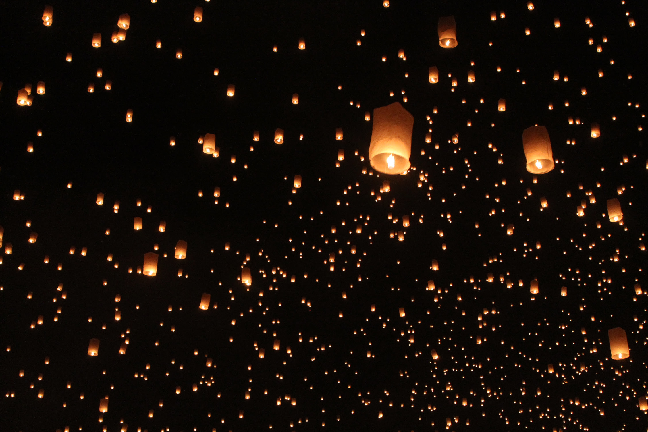 Rise Lantern Festivalに行ってきたらラプンツェルの世界だった シンシア エンターテイメント総合情報サイト