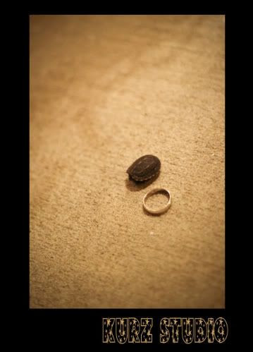 kurz studio wedding family photography tampa florida st petersburg engagement