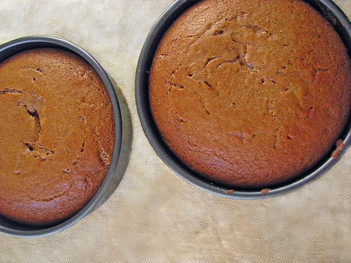 spice cake 2