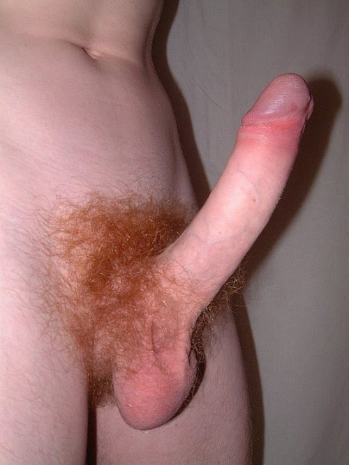 Red hot poker.  #foreskinfriday
