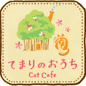 アルバイト採用情報 不思議なネコの森 てまりのおうち 東京 吉祥寺 猫カフェ