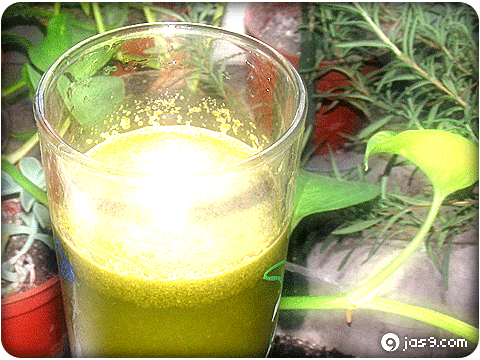 ilan greentea 2