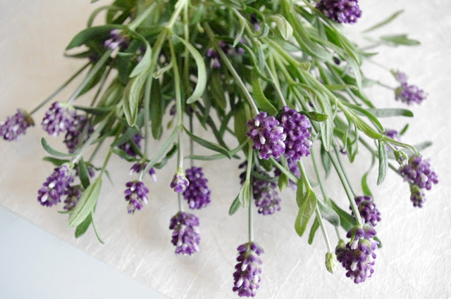 ラベンダー葉のフレッシュハーブバス Blog 美のススメ