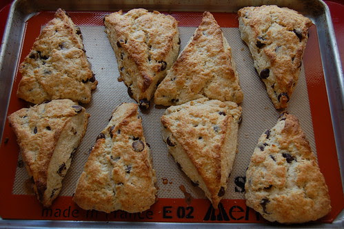 Chocolate Chip Cream Scones With Orange Zest by Eve Fox, Garden of Eating blog, copyright 2011