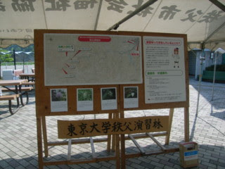 f:id:chichi_blog:20090510084905j:image