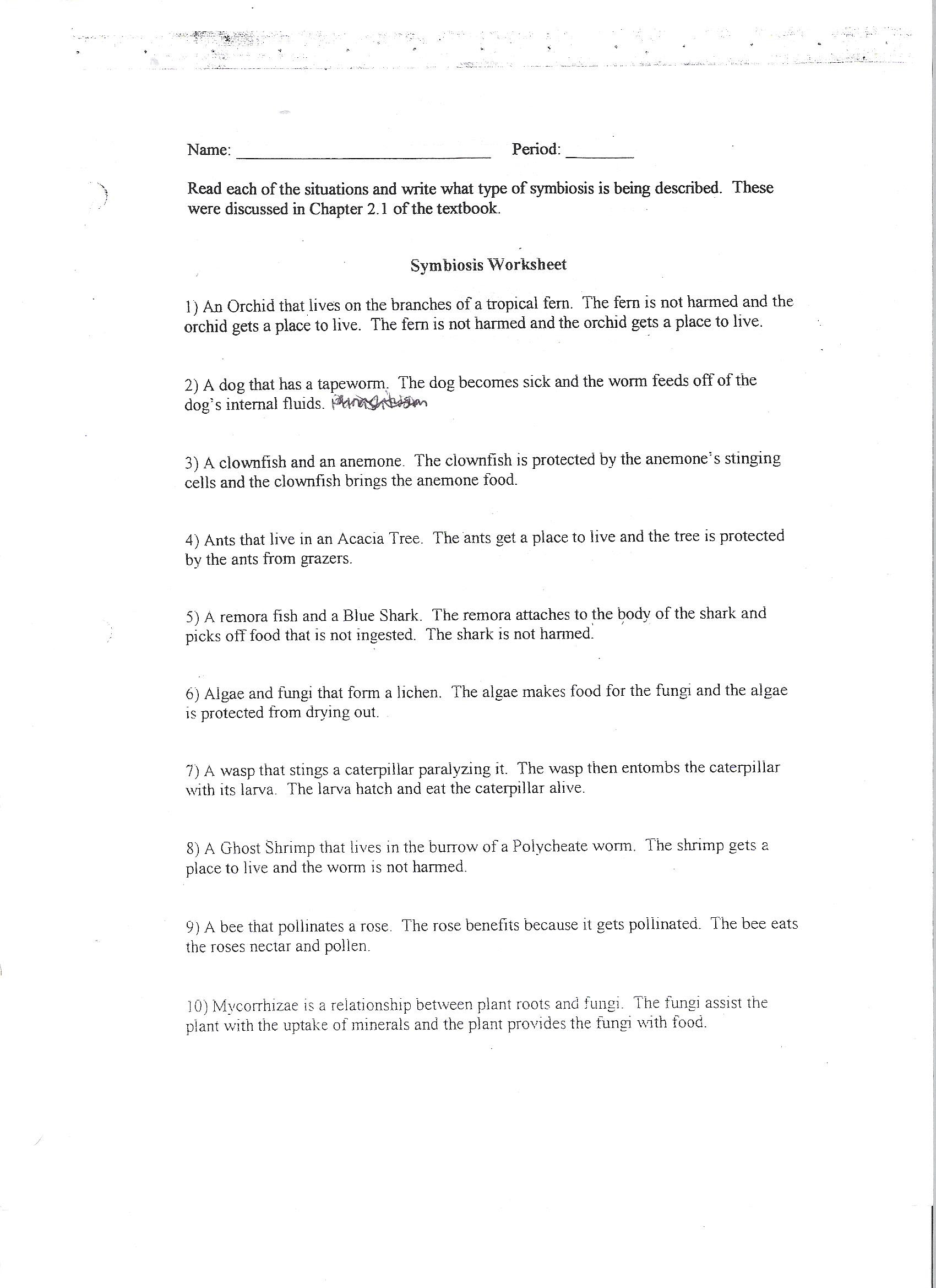 Dna Replication And Protein Synthesis Virtual Lab Sheet ...