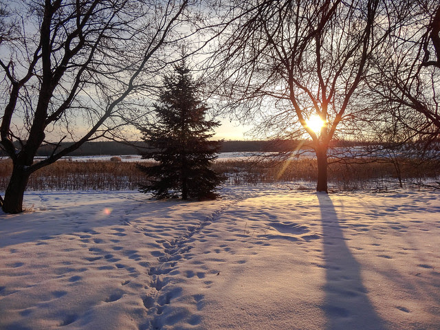 farmette winter-13.jpg