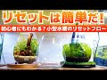 [無料ダウンロード！ √] ボトル アクアリウム 初心者 180721-ボトル アクアリウム 初心者