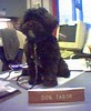 BODHI DESK