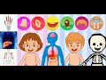 Las Partes Del Cuerpo Humano Para Niños