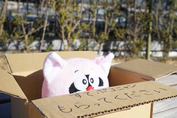 ポコニャンがぬいぐるみになりました 川崎市 藤子 F 不二雄ミュージアム