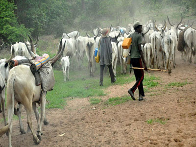 Herdsmen, Nasarawa