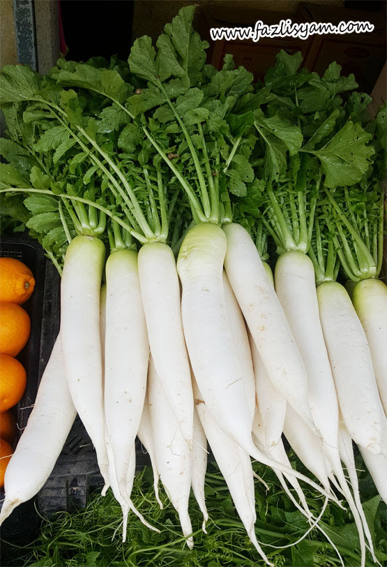 Khasiat Lobak Putih  Segalanya Tentang Tumbuhan