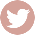  photo twitter.png