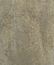 誰でもわかる コンクリートひび割れ辞典 順引き