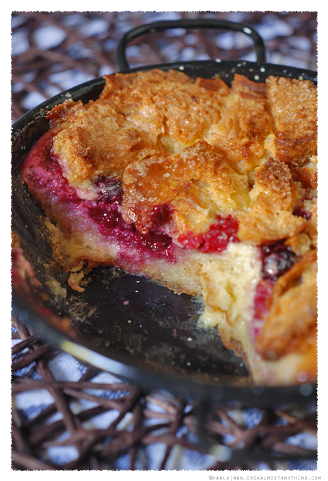 brioche and berry pudding© by Haalo