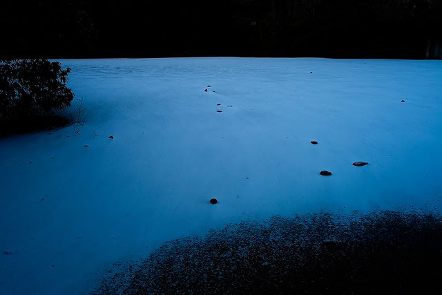 SDIM1356