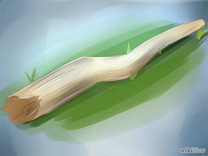 Be an Explorer Step 19.jpg