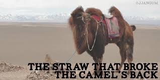 straw