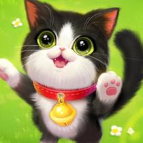 Wowcutecat Wowcutecat က တ န ပန က ယဉ က မ Tiktok Influencers Tiktok Spy