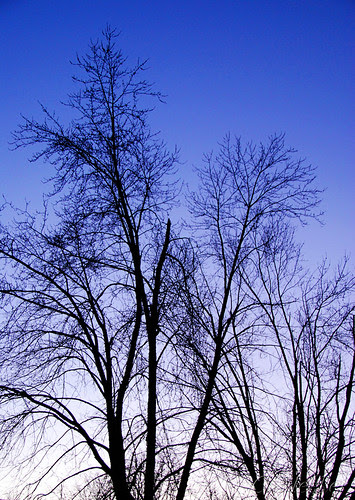 Purple Sunset