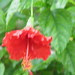 P7010086