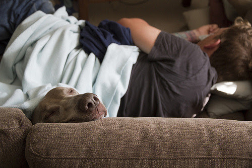 Eugene Adult Classifieds