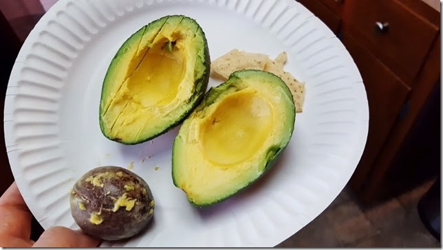 avocado obsession