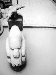 Winterschlaf