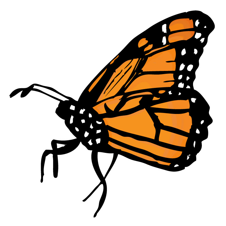 Free Free 256 Silhouette Monarch Butterfly Svg SVG PNG EPS DXF File