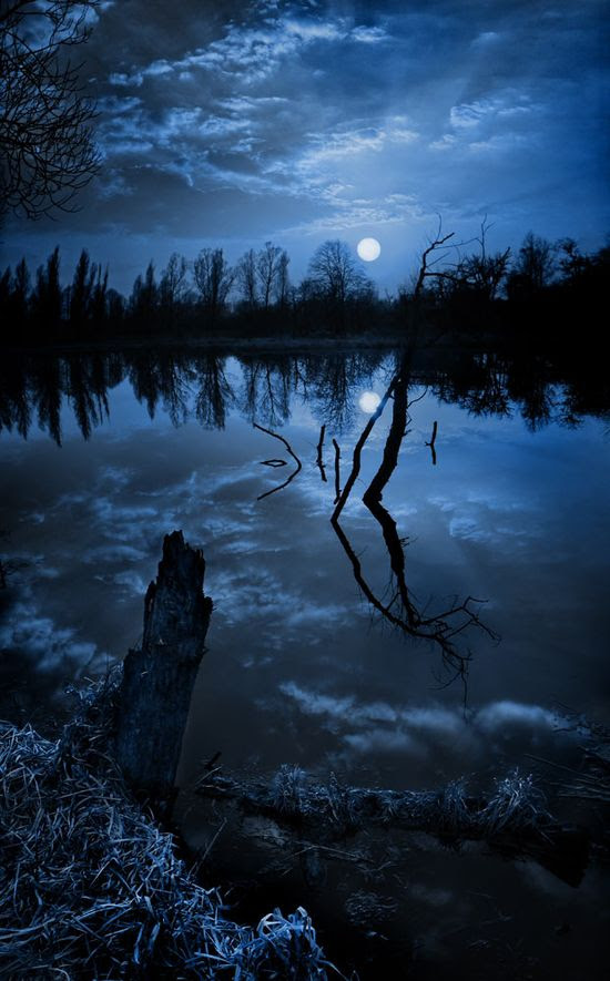 .Hauntingly beautiful. .