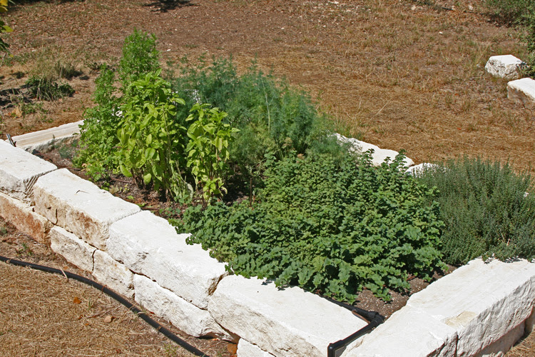 Raised Herb Garden Design Photograph Designing Raised Bed Raised Herb Garden Design Photograph Designing Raised Bed