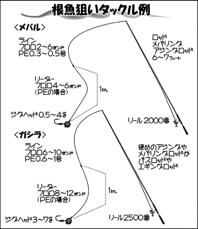ジグヘッドにエサをセットで狙う カサゴとメバルの釣りを攻略だ Tsurinews