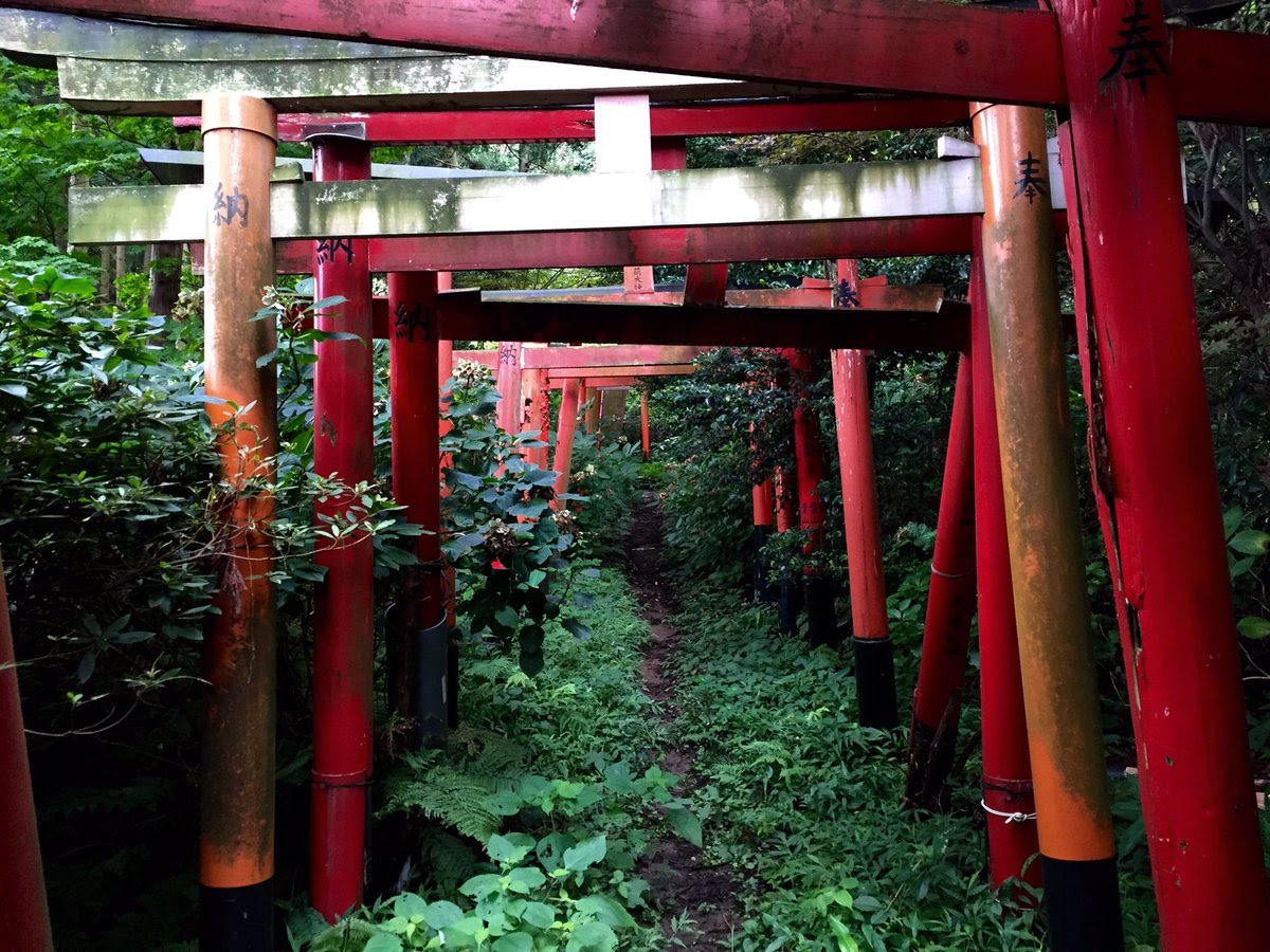 獣道を進んでいくとガチな雰囲気の神社を発見 お稲荷様が美しすぎて神秘的 Netgeek