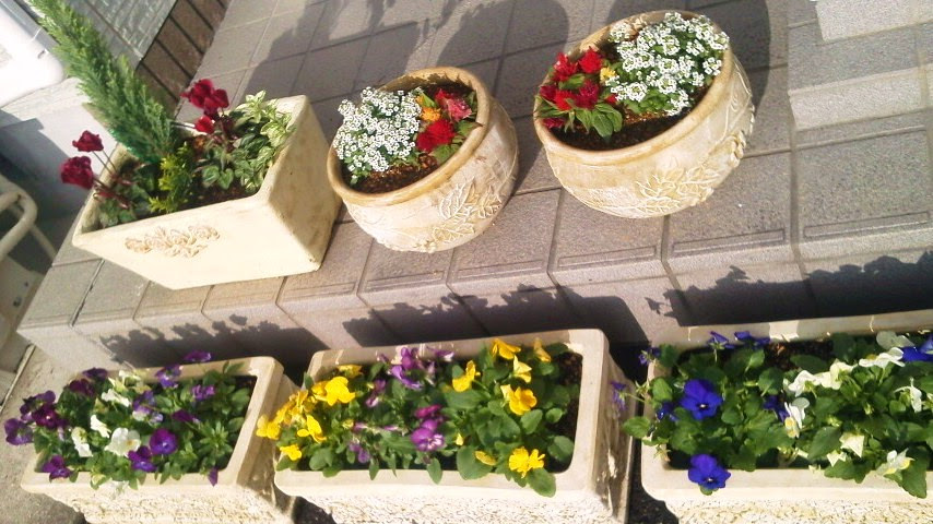花と色彩