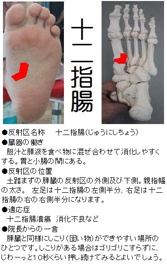 胃痛 胃潰瘍 食欲不振に効く反射区 足つぼ