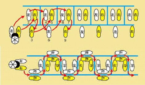 剣道の稽古におけるラダートレーニングの利用