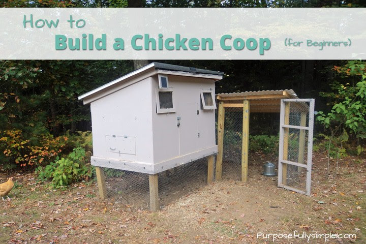 How to Build a Chicken Coop for Beginners - Purposefully 