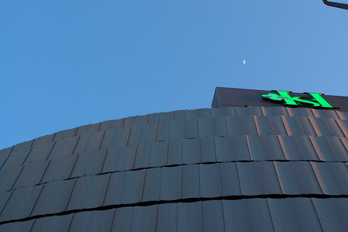 DSC_2237
