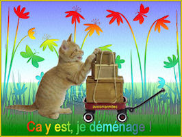 Cartes Virtuelles Gratuites Demenagement