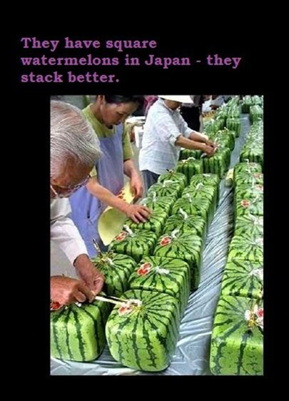 image21 10 Interesting Facts to Increase Your General Knowledge   Part 1