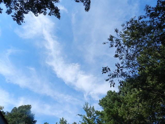 skywfDSCN6385