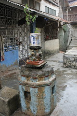 main tulsi tere angan ki by firoze shakir photographerno1