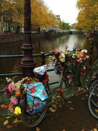 biciflores