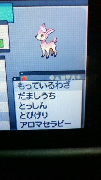 シ シキジカの色違いー Photo Sharing Photozou
