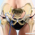 Are There Any Organs In The Lower Back Of Women? - 3 / Learn internal organs of the human body in english.