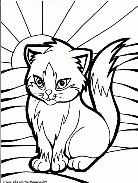  cute cat coloring pages pictures whitesbelfastcom